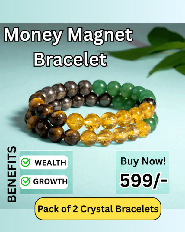 Unisex Money Magnet Bracelets